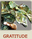 gratitude