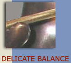 delicate balance