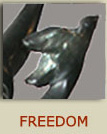 freedom