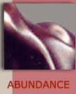 abundance