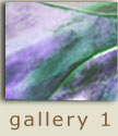 gallery 1